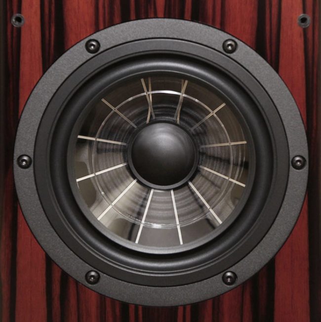 201110_mozart_spider